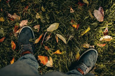 Sonbahar mevsiminde renkli ve ıslak düşmüş yapraklar. Sonbahar arka planı.