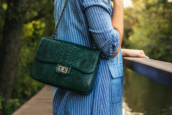 Yılan derisi çanta açık havada şık kadın.