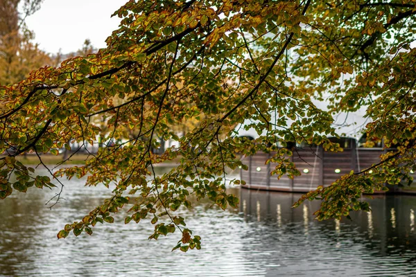 秋林湖景映照. 秋天的池塘 美丽的秋天. — 图库照片