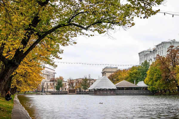 Moskova, Rusya - 30 Eylül 2019: Sonbahar Ormanı Göl Yansıması manzarası. Sonbahar göleti. Güzel sonbahar doğası.