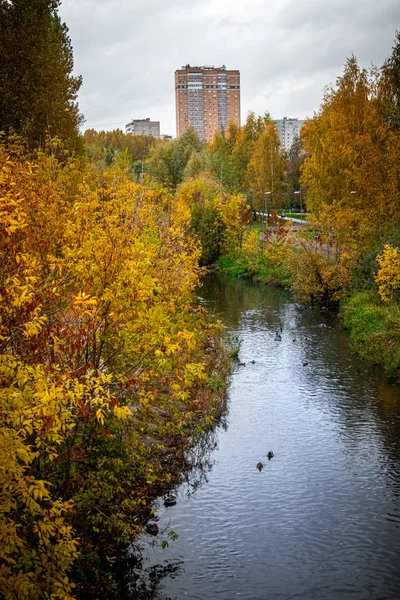 가을 숲의 호수 반사 풍경. 가을 연못. 아름다운 가을의 자연. — 스톡 사진