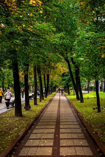 美丽的秋天公园。 秋天在莫斯科。 砍倒树木和树叶。 秋天的风景。 秋天的公园 秋天的森林. — 图库照片