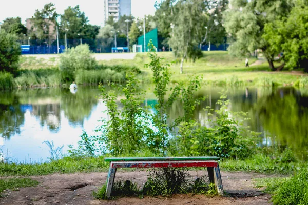 여름 시간에 연못 옆에 있는 파크 벤치. — 스톡 사진
