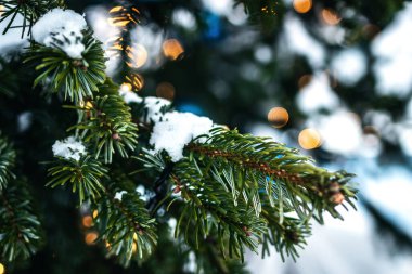 Kışın köknar dallarında Noel baloları. Yeni yıl süslemeleri ve şehir sokaklarında şenlik ışıkları, bayramın büyüsü. Kış ve mevsimlik kavram