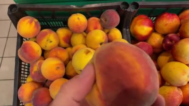 Tangan laki-laki memilih buah persik di pasar organik petani lokal. Vegan pasar makanan. — Stok Video