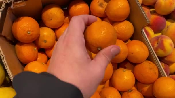 Чоловіча рука вибирає мандарини в супермаркеті . — стокове відео