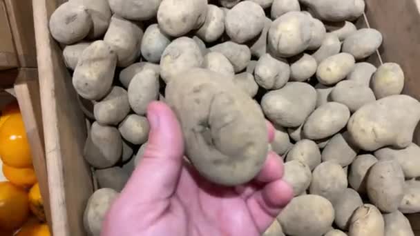 Man chooses fresh organic potato in supermarket. — Stock Video