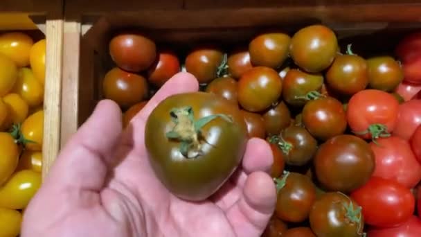 Человек выбирает помидоры в супермаркете. — стоковое видео