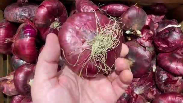 Człowiek wybiera świeżą organiczną czerwoną cebulę w supermarkecie. Żywność ekologiczna. — Wideo stockowe