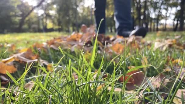 Az ember sárga és narancssárga őszi leveleket rúg. Lassú mozgás. Őszi koncepció. — Stock videók