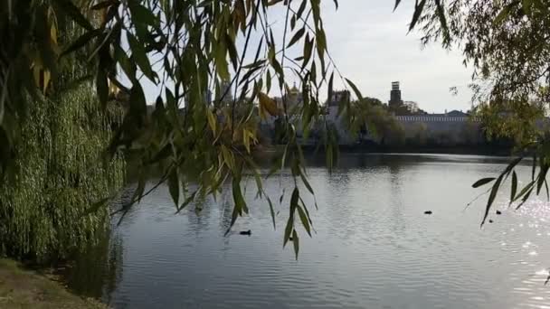 市内に池がある秋の公園。スローモーションシーン. — ストック動画