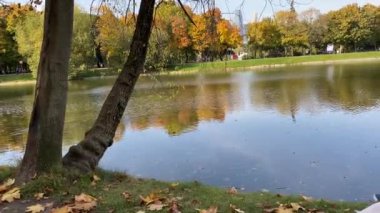 Akıllı telefonlu genç bir kadın sonbahar parkındaki gölette oturuyor..