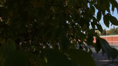 MOSCOW, RUSSIA - 5 Ekim 2020: Sonbahar zamanı gökdelenlere bakan bir manzara.