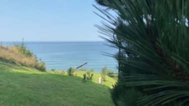 Güzel deniz ve yeşil manzara.