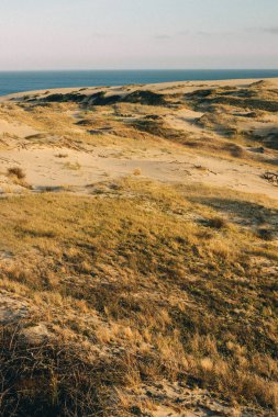 Curonian Spit, dune Efa, Kalininingrad bölgesinin dikey görüntüsü.