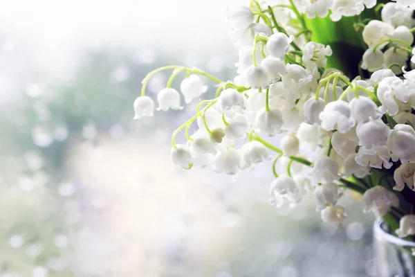 Bouquet Gigli Della Valle Isolato Sfondo Fioco — Foto Stock