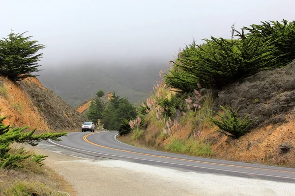 Road Fog Leading Half Moon Bay California — Stock Photo, Image