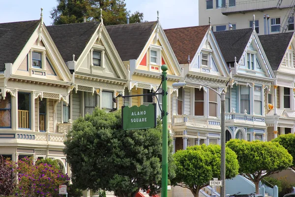 Tistelfjärilar Alamo Square San Francisco Kalifornien — Stockfoto