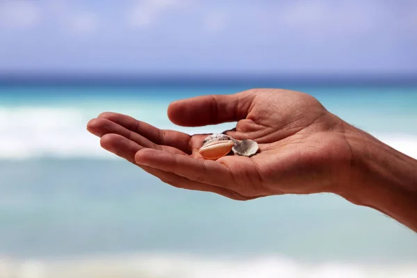 Skålar Mans Hand Isolerade Bakgrund Havet Barbados Lawrence Gap Dover — Stockfoto