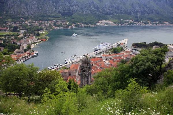 Widok Kotor Zatoki Kotorskiej Czarnogóra — Zdjęcie stockowe