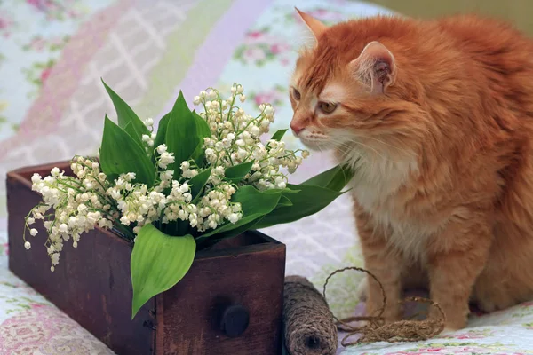 Porträt Einer Jungen Rothaarigen Katze Mit Blumen — Stockfoto