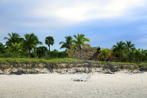 日没のサンラウンジャーとヤシの木とキューバのビーチ ヴァラデロ — ストック写真