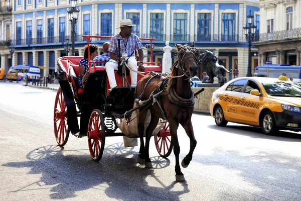 马车在哈瓦那老城 免版税图库照片