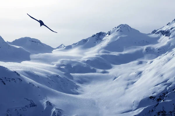 Zobrazit na Mount Elbrus - nejvyšší bod Evropy — Stock fotografie