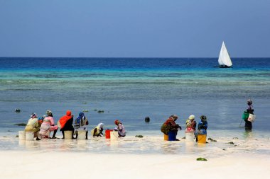 Köy Nungw sahilde geleneksel elbiseli Afrikalı kadınlar
