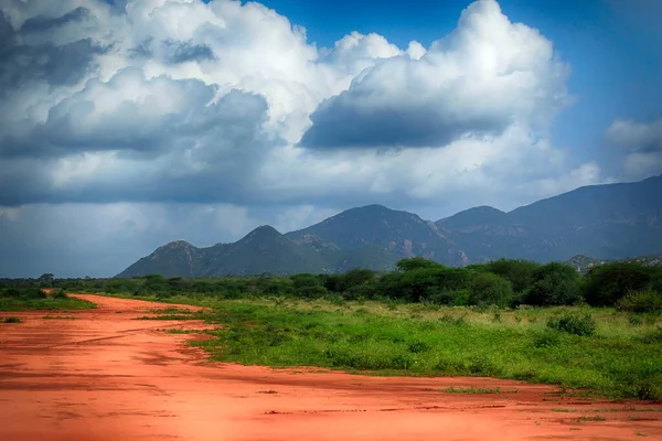 Park Tsavo East National Kenia Fotos de stock