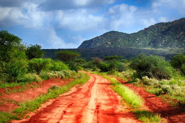 Park Tsavo East National Kenya Royaltyfria Stockfoton