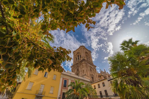 Utsikt Över Katedralen Granada Mellan Träd — Stockfoto