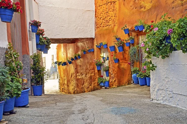 Straßenszene Mit Blumentöpfen Der Wand — Stockfoto