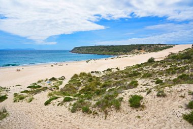Cadiz 'deki Bolonia plajı.