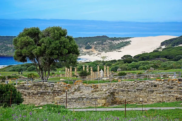 Ruins Roman Baelo Claudia Bolonia Beach Cadiz — Stock Photo, Image