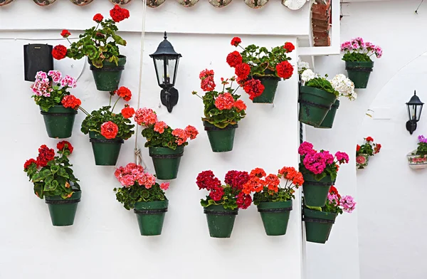 Wall Typical Andalusian Patio — Stock Photo, Image