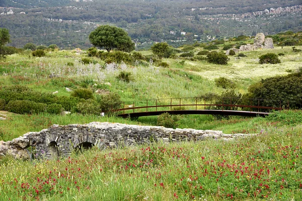 Γέφυρα Ερείπια Ρωμαϊκή Του Baelo Claudia Στην Παραλία Bolonia Κάδιξ — Φωτογραφία Αρχείου