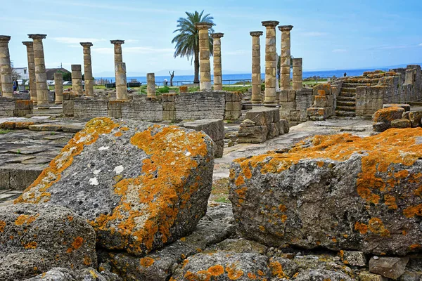 Ruins Roman Baelo Claudia Bolonia Beach Cadiz — Stock Photo, Image