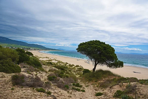 Plage Bologne Tarifa Cadix Province — Photo