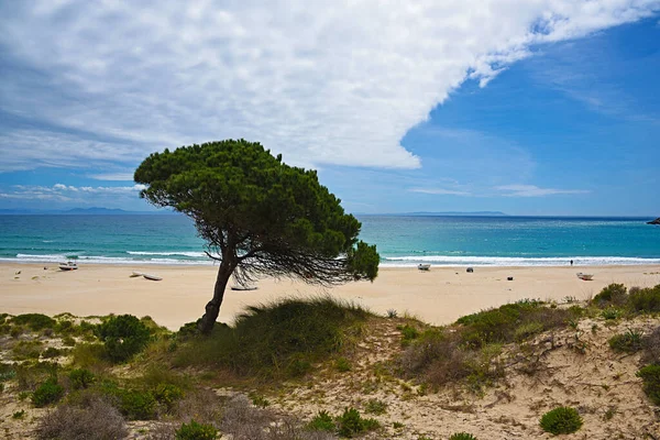 Plaża Bolońska Tarifa Prowincja Kadyks — Zdjęcie stockowe