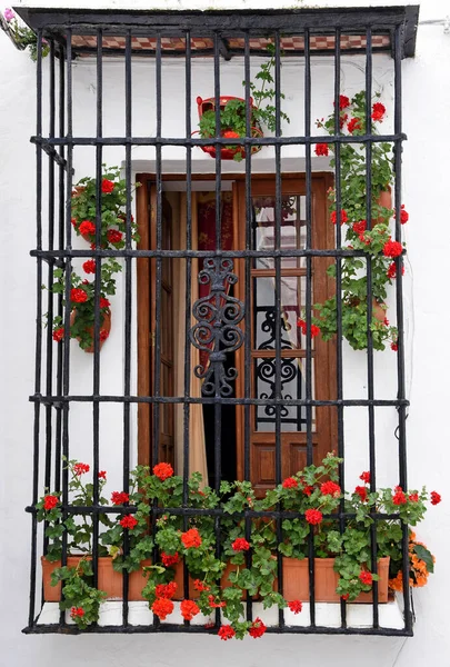 Balcon Andalou Traditionnel Vejer Frontera Cadix — Photo