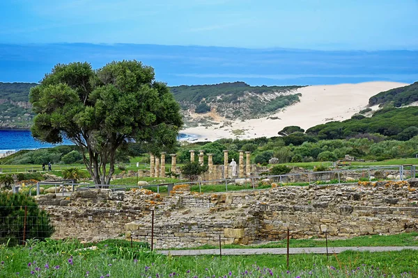 加的斯Bolonia海滩 Baelo Claudia 的罗马废墟 图库照片