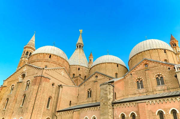 파도바의 안토니우스 성당의 — 스톡 사진