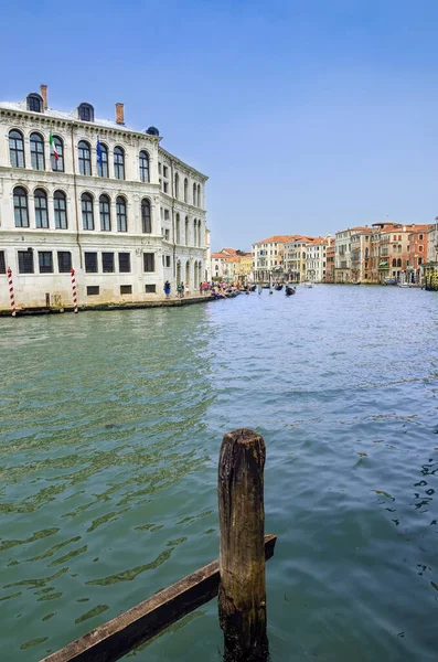 베네치아의 대운하의 — 스톡 사진