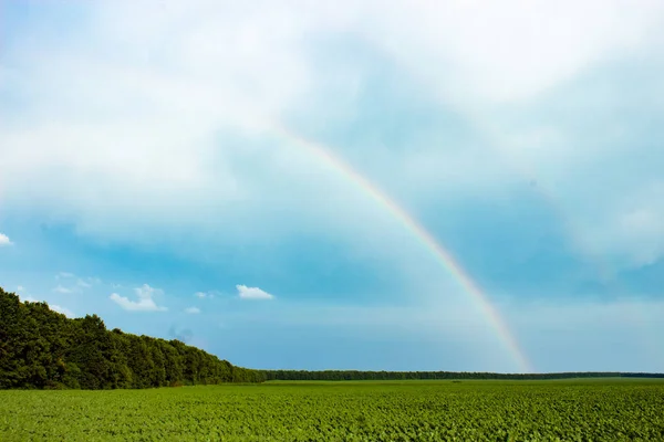 Regenbogen am Horizont. — Stockfoto