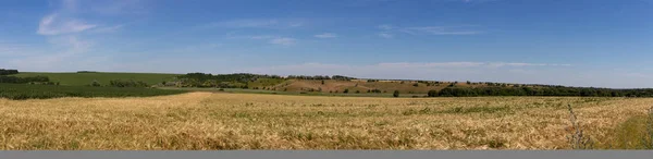 小さな山のふもとにある熟した小麦畑。フィールドのパノラマショット. — ストック写真
