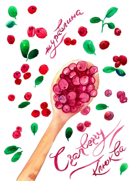 Cranberries, red cranberries in a wooden spoon, leaves and berries, name in English, Russian and Ukrainian, top view — Stock Photo, Image