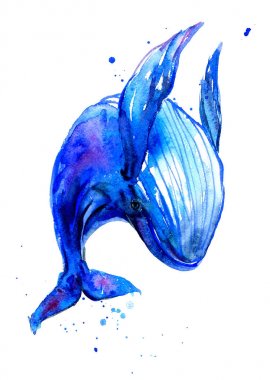 Kambur Mavi balina suluboya illüstrasyon. Sualtı faunası