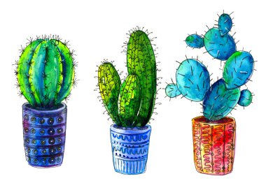 saksı gibi güzel suluboya kaktüsler