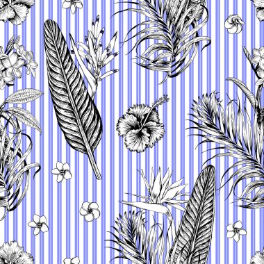 Dikişsiz tropikal desen çizgili. Yaprakları palmiye ağacı illüstrasyon. Modern grafik. Plumeria çiçek, kuş cenneti, ebegümeci.